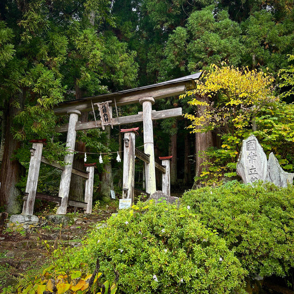 Best Hiking Trails in Japan