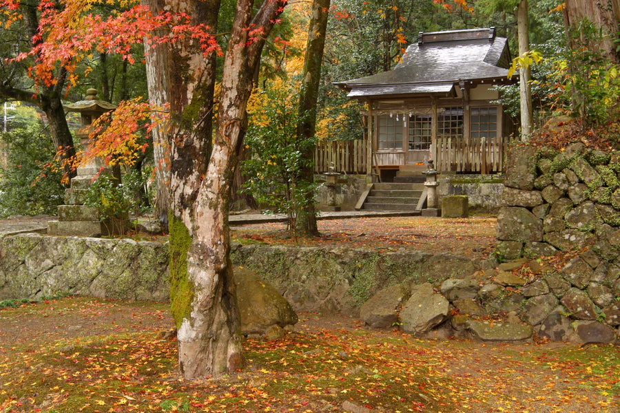 Exploring Japan’s Best Hiking Trails: A Journey Through Nature’s Beauty