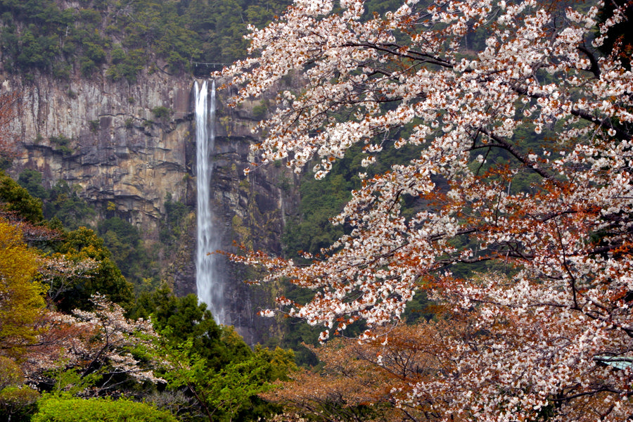 Tips for Hiking in Japan