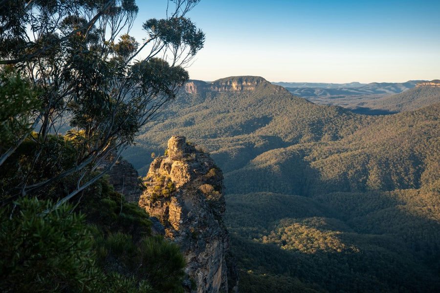 Discover the Best Hiking Trails in Sydney